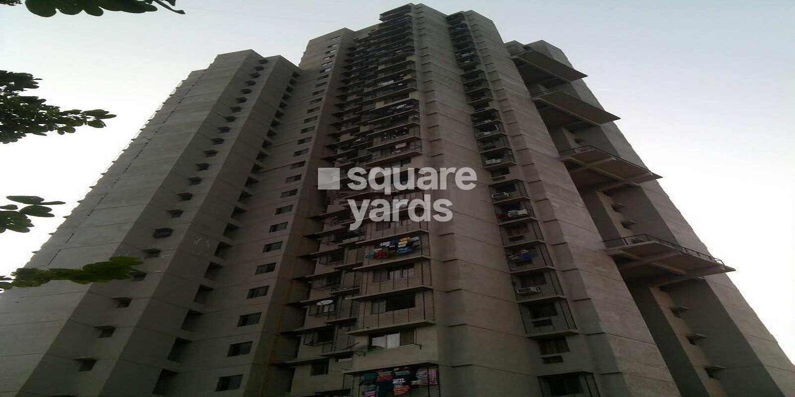 Everest World Lavender