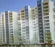 Gayatri Classic