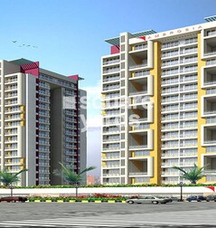 Jangid Aster Ambrosia Jangid Aster Ambrosia