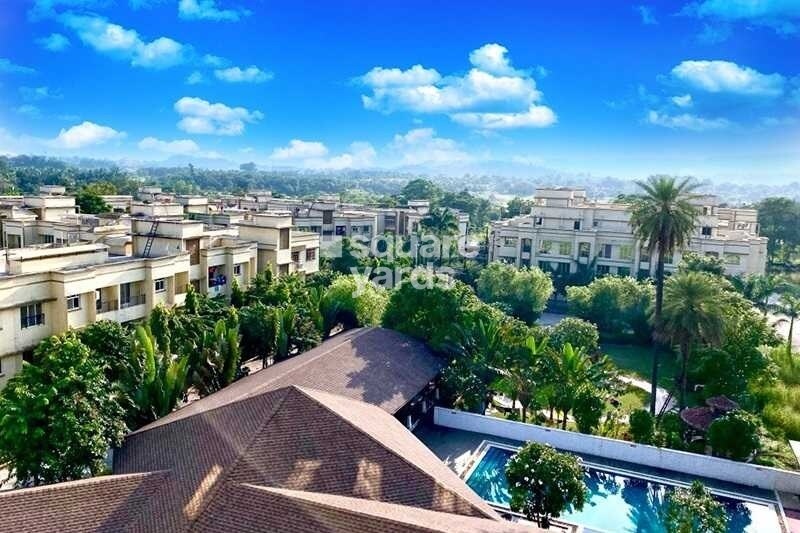 Jashnani Chintamani Habitat