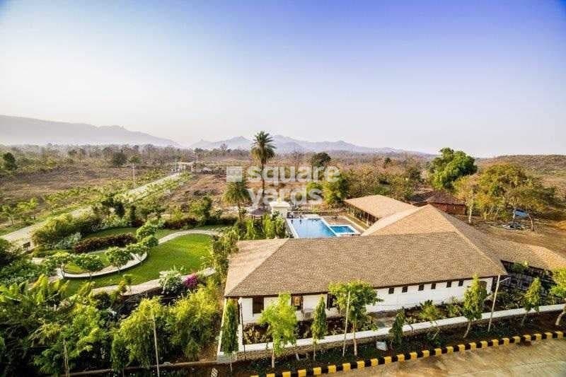 Jashnani Chintamani Habitat