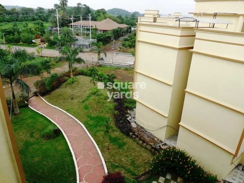 Jashnani Chintamani Habitat