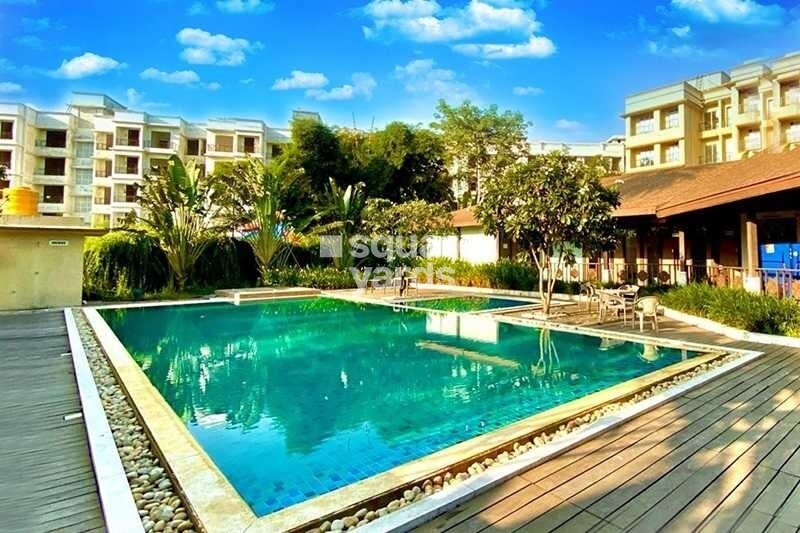 Jashnani Chintamani Habitat