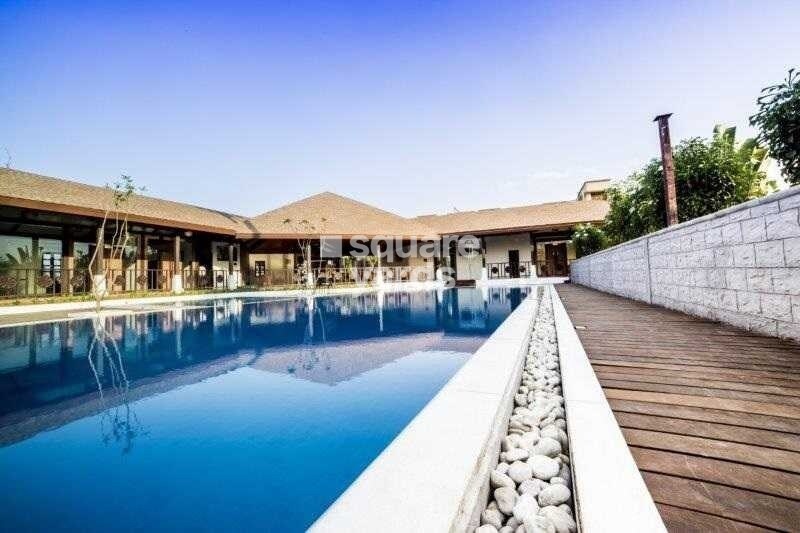 Jashnani Chintamani Habitat