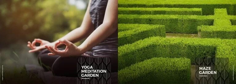 JP Codename StarLife