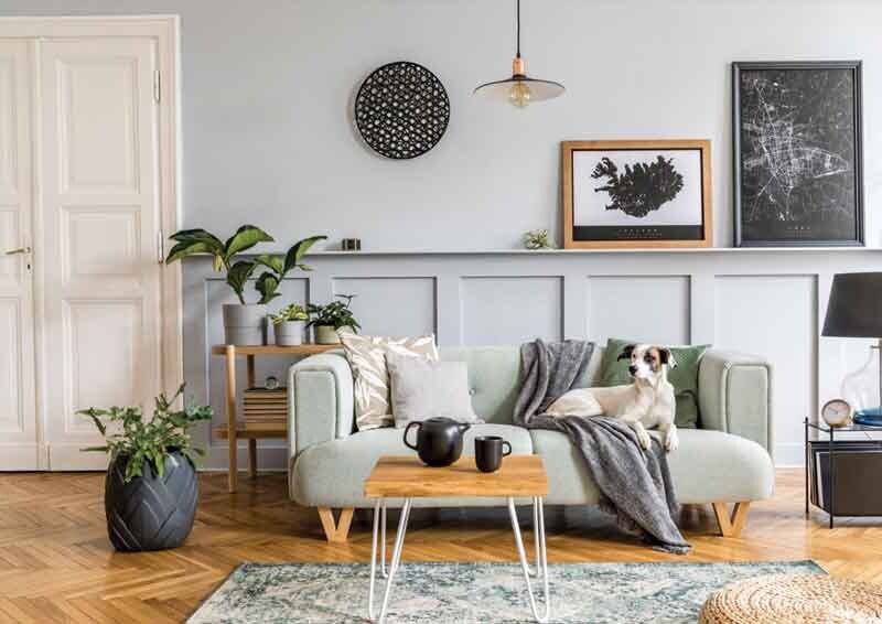 K M Horizon Palms 4