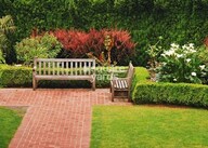 Kalpataru Paramount Amenities-Features