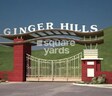 Karmvir Ginger Hills