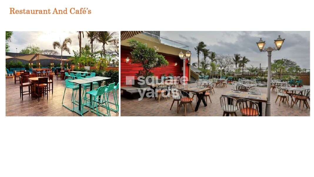 Kashikar The Veniscape