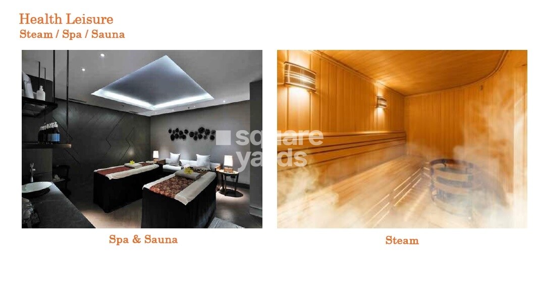 Kashikar The Veniscape