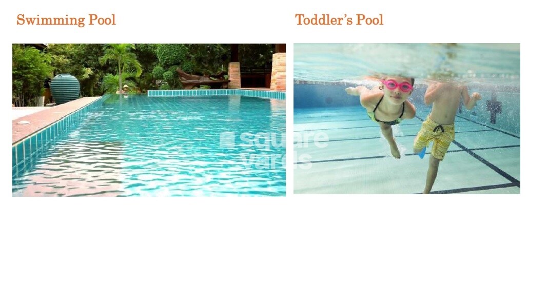 Kashikar The Veniscape