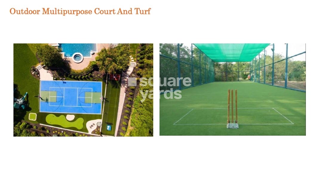 Kashikar The Veniscape