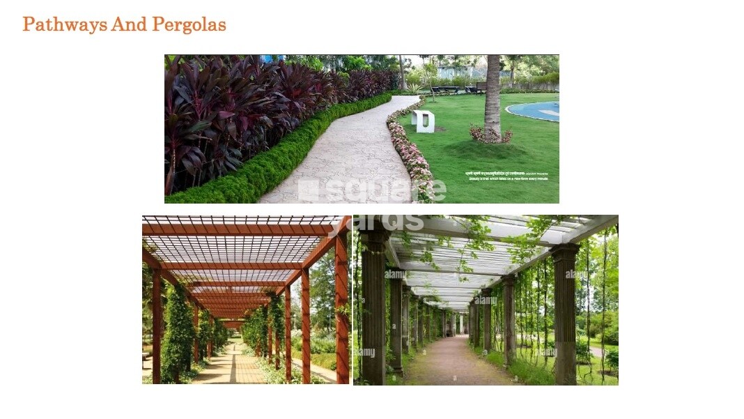 Kashikar The Veniscape