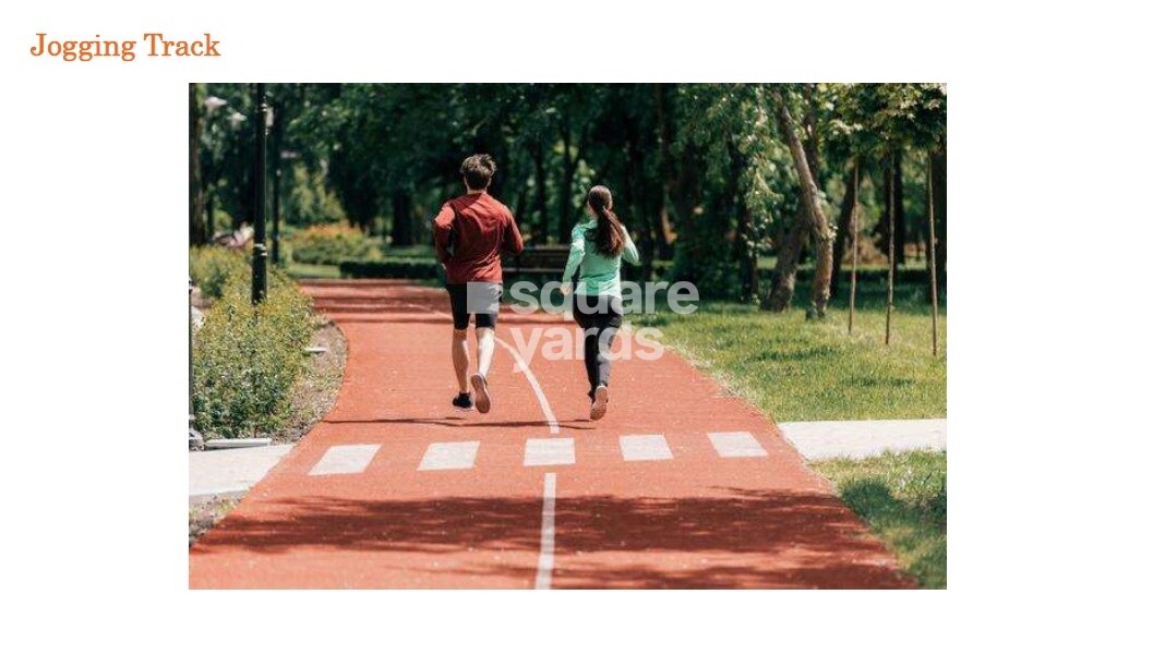 Kashikar The Veniscape