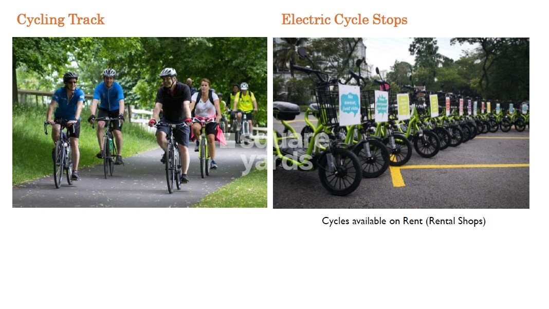 Kashikar The Veniscape