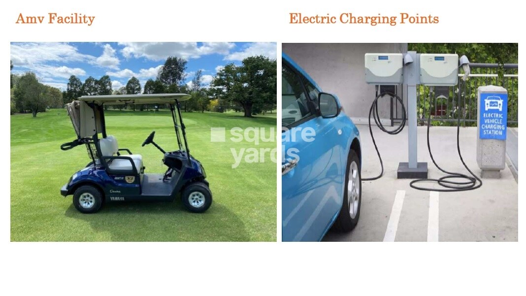 Kashikar The Veniscape