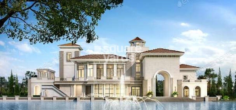 Kashikar The Veniscape