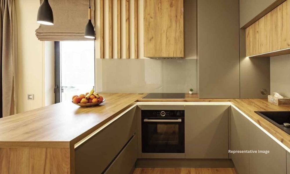 Lakhani Empire Dynasty Apartment Interiors 3