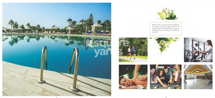 Larkins Pride Palms Amenities-Features 2