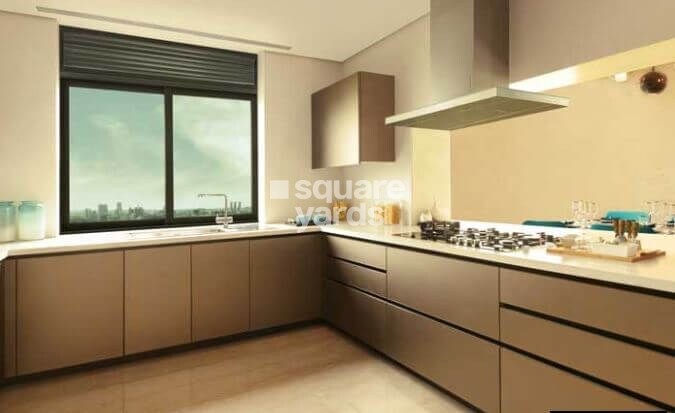 Kalpataru Launch Code Expansia