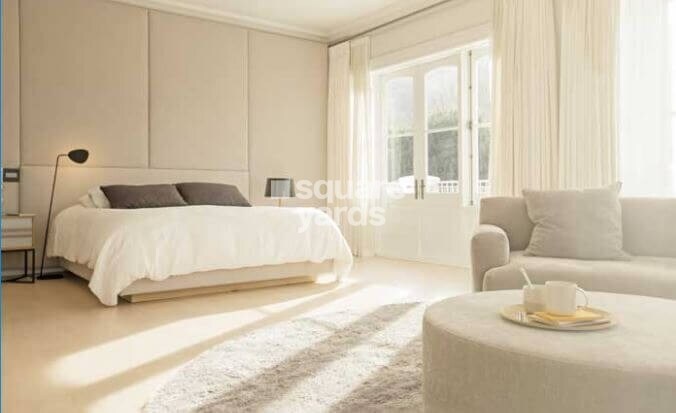 Kalpataru Launch Code Expansia