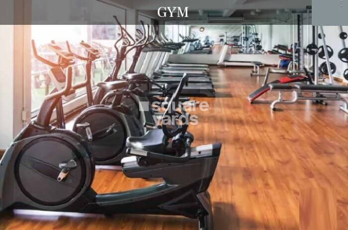 Kalpataru Launch Code Expansia