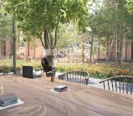 Lodha Casa Belvedere Amenities-Features