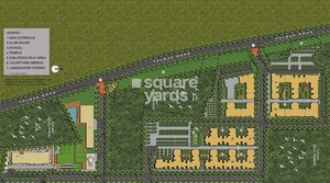 Lodha-Codename-Golden-Sunrise_a green field with a bunch of green grass