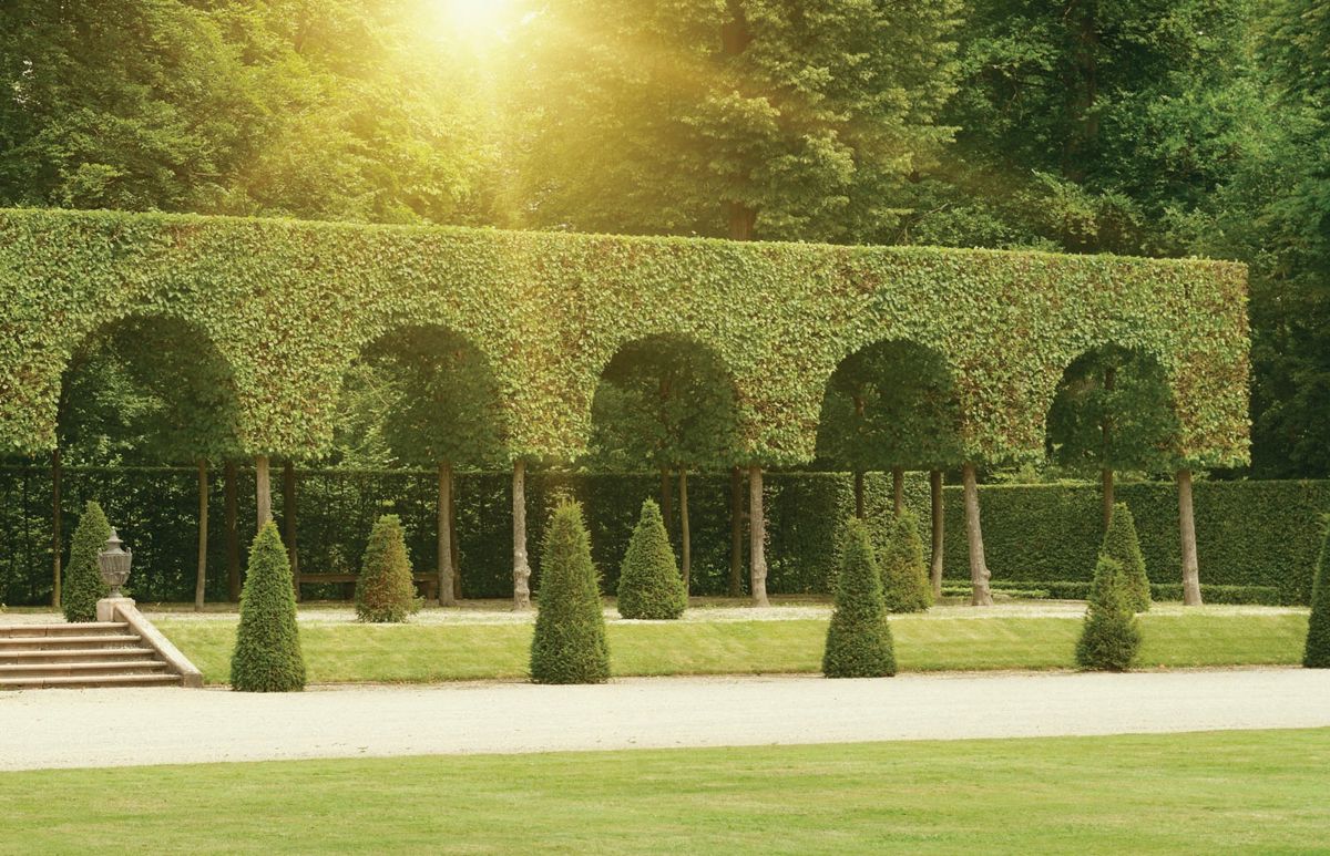 Lodha Opulis Amenities-Features 3