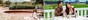 lodha palava clara a to d and d1 amenities features10