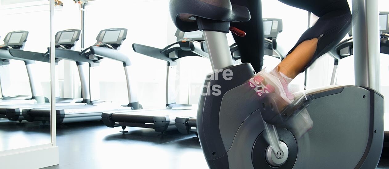 Lodha Palava Crown Gymnasium Image