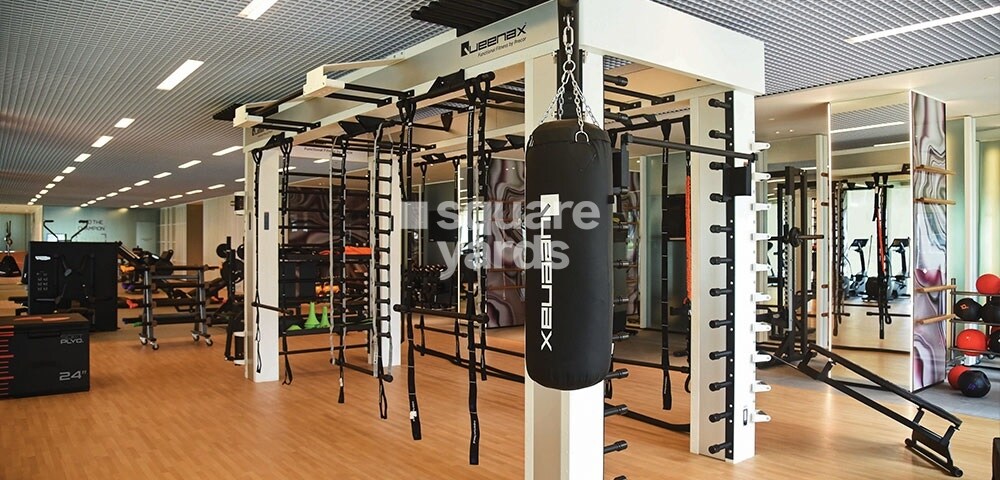 Lodha Park Gymnasium Image