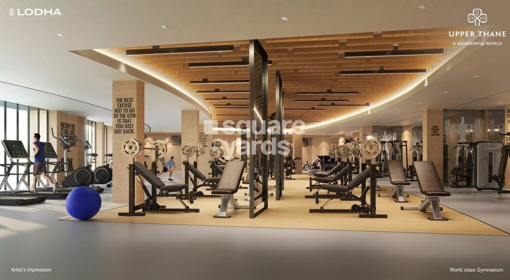 Lodha Upper Thane Cluster No 4 03B Gymnasium Image