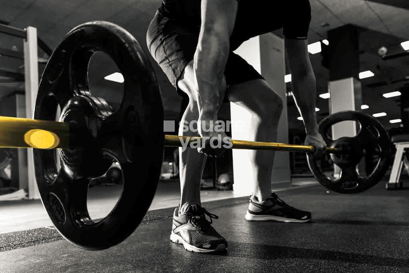 Metropolis Aquaris Phase 2 Gymnasium Image