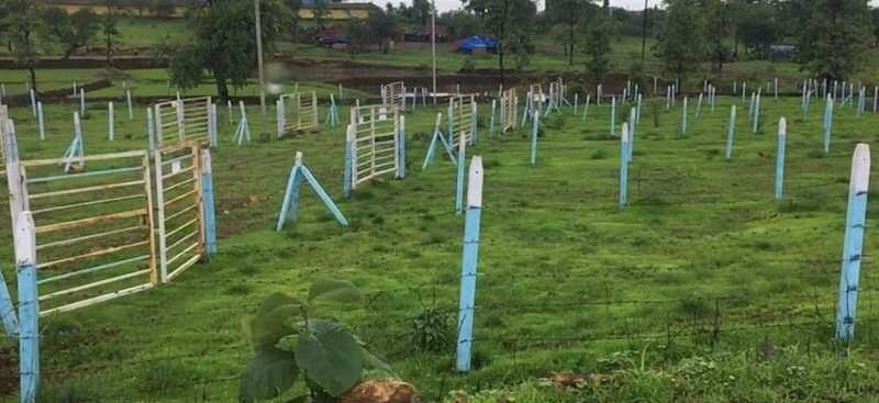 Mirador Oasis Estate