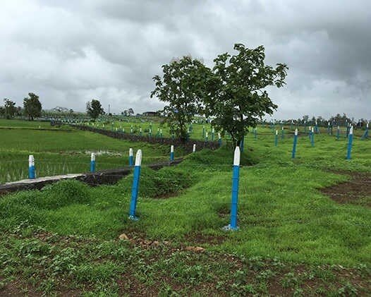 Mirador Oasis Estate