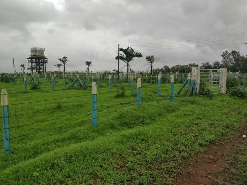 Mirador Oasis Estate