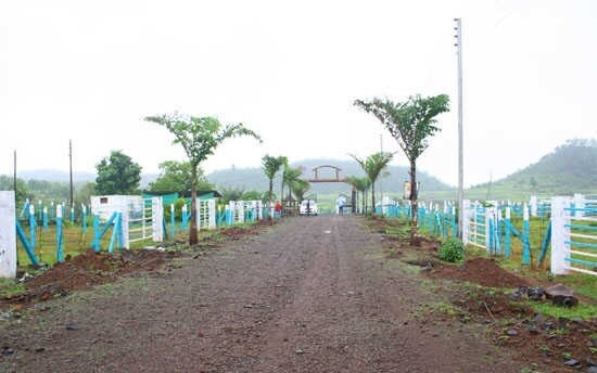 Mirador Oasis Estate