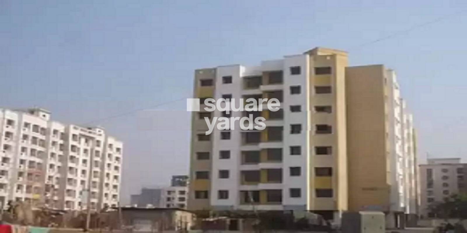 ng-palms