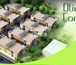 Olive Complex Kalher