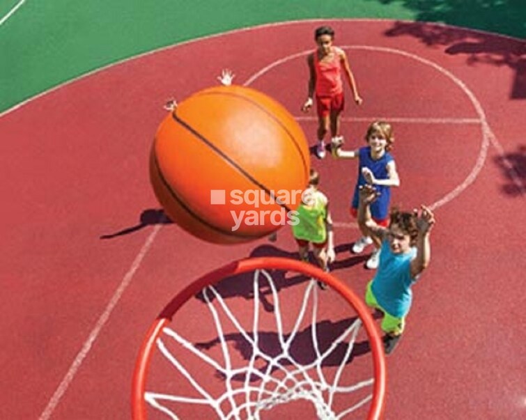 Ornate Rise Sports facilities Image