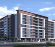 Planacres Amara