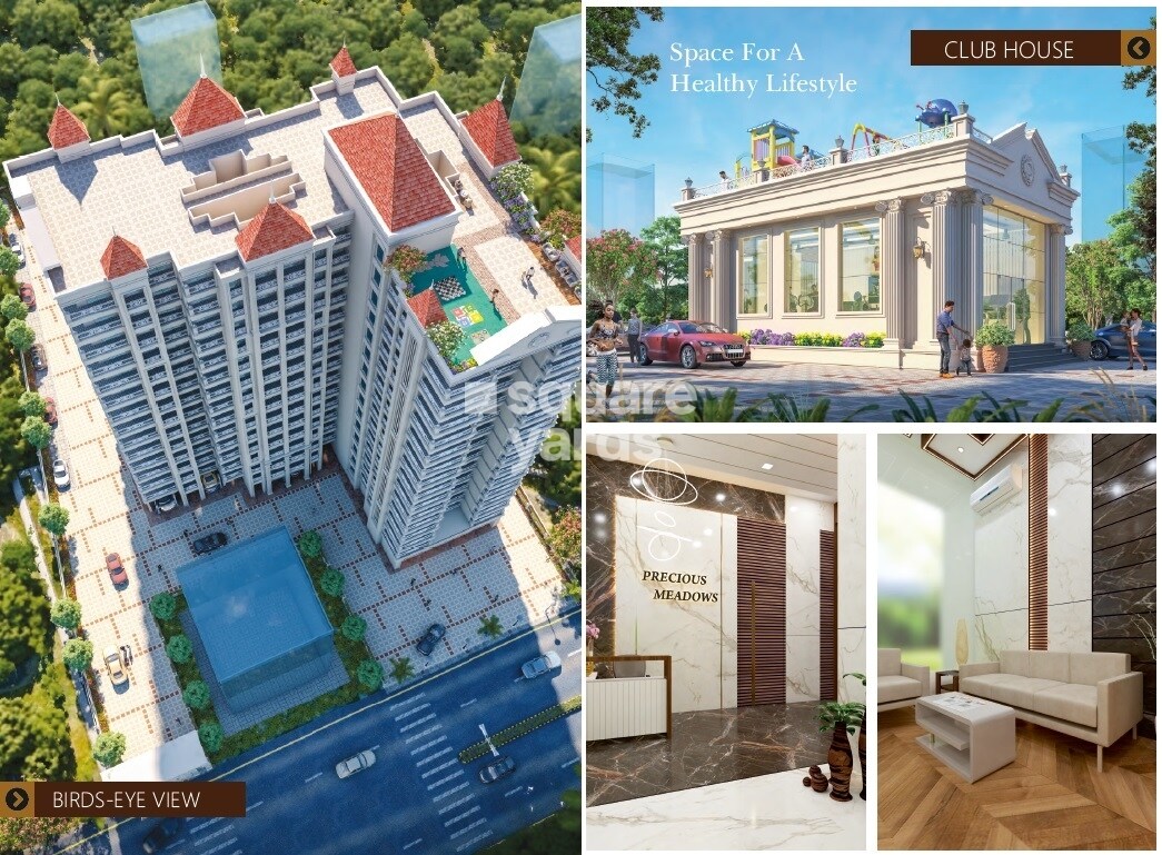 Precious Meadows Amenities-Features