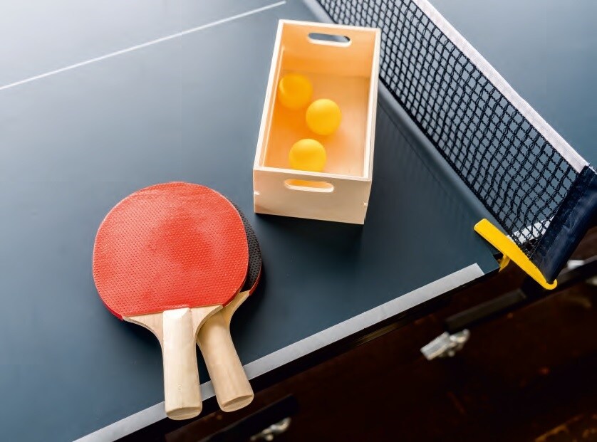 Precious Meadows Sports facilities Image 1