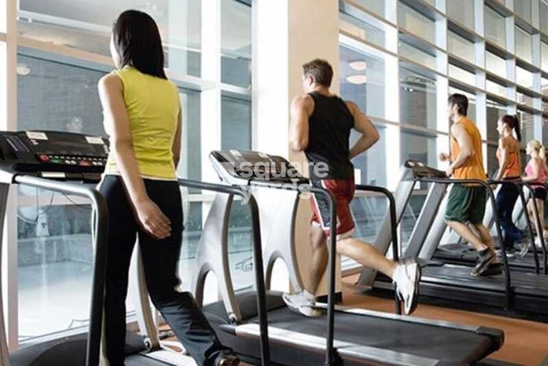 Pushpak Larkins 315 Fio