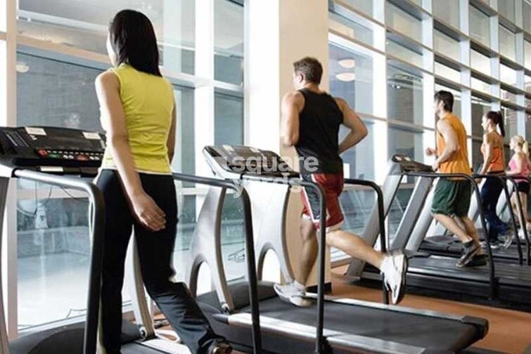 Pushpak Larkins 315 Fio Gymnasium Image