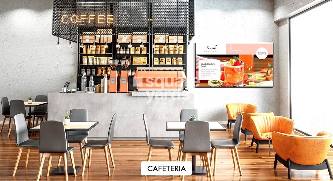 Ravi Gaurav Excellency