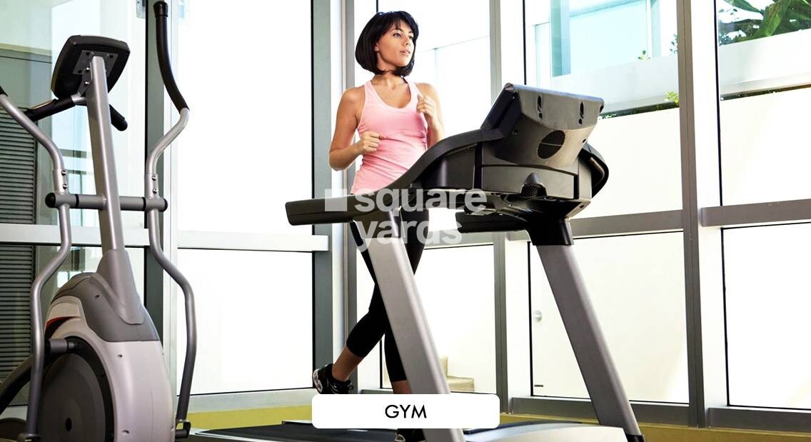 Ravi Gaurav Excellency