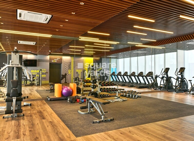 Runwal My City Gymnasium Image