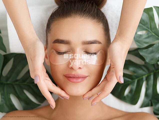 Shapoorji Pallonji Northern Lights